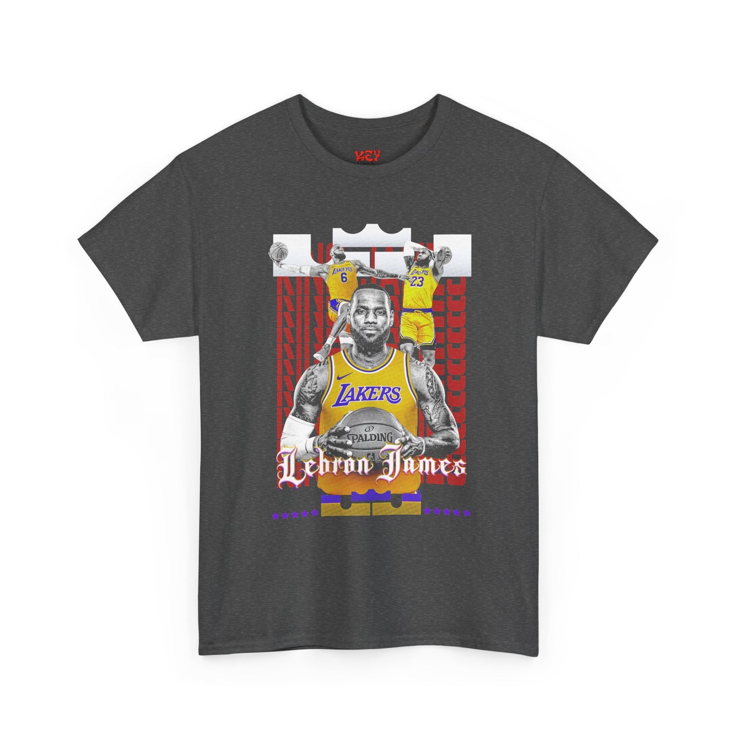 LeBron James Graphic Tee