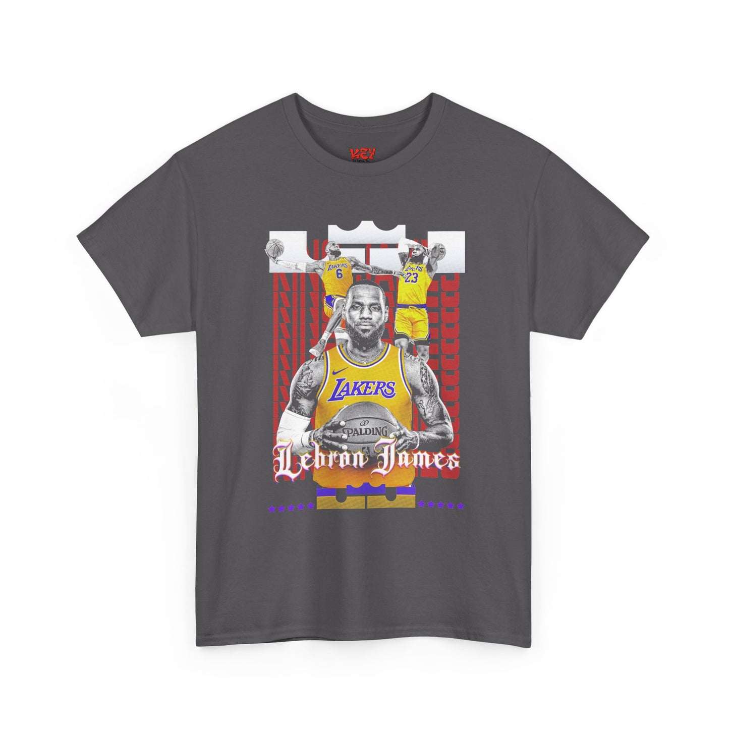 LeBron James Graphic Tee
