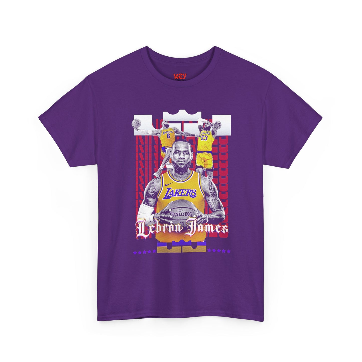 LeBron James Graphic Tee